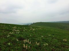 -恋山坝上草原