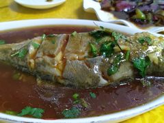红烧黄花鱼-青岛锅贴(洛阳路分店)