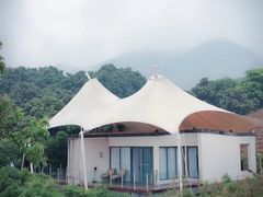 -帐篷客·溪龙茶谷度假酒店