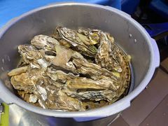 -千岛蚝高压锅生蚝·人参火锅(白云万达店)