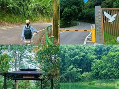 -佛山市三水区大南山森林公园