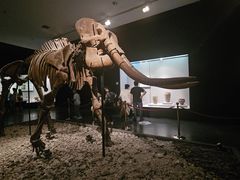 -洛阳古墓博物馆