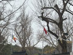 -虞山风景区