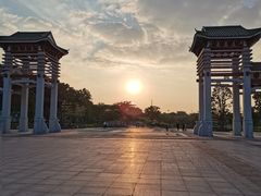 -王借岗森林公园