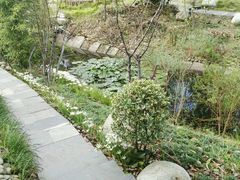 -武汉紫薇都市田园