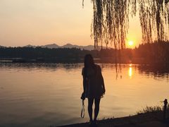 -苏堤停车场
