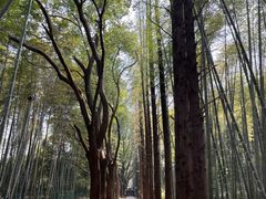 -同里国家湿地公园