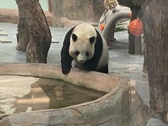 -青藏高原野生动物园