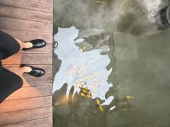 -觀芷隐轩