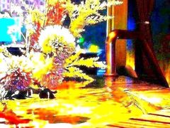 -索拉古贝(义乌北苑店)