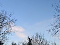 -布歌东京(清河万象汇店)