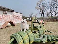 -太阳岛度假酒店