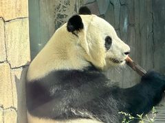 -青藏高原野生动物园