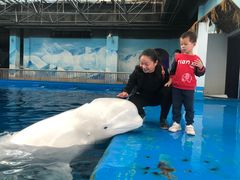 -石林冰雪海洋世界