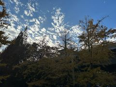 -胡雪岩故居