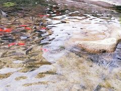 -水磨沟公园