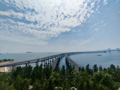 -星海湾跨海大桥