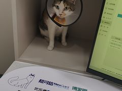 -御宝贝24h宠物医院·转诊中心·CT核磁血透中心(厦门总院)