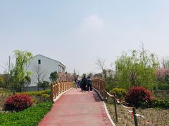 -上海浦江郊野公园-5号停车场