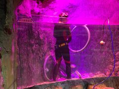 -多彩贵州城极地海洋世界