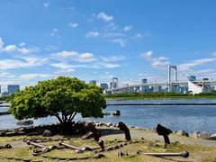 -台场海滨公园船码头