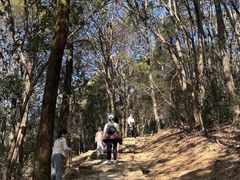 -西湖风景区十里琅珰-五云山