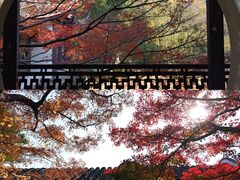 -北山街历史文化街区