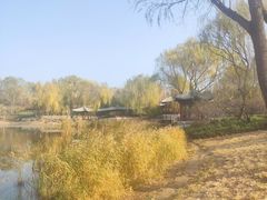 -北坞公园