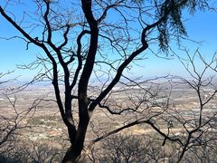 -阳台山自然风景区