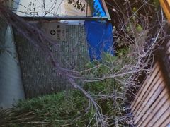 -湖南别院·美学庭院餐厅(惠阳店)