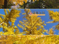 -迎泽公园