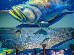 -烟台海昌鲸鲨海洋公园
