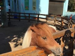 -昆明动物园
