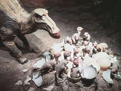 -自贡恐龙博物馆