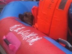 -安吉龙王山峡谷漂流