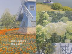-宜兴龙背山森林公园