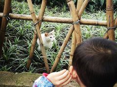 -晓港公园