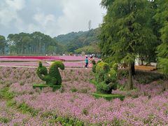 -广州市石门国家森林公园