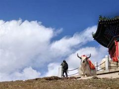 -日月山景区