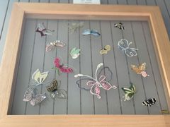 -蝶舍·MAISON PAPILLON