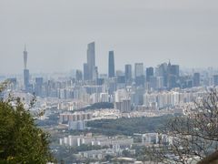 -火炉山森林公园