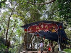 -广东茂名森林公园