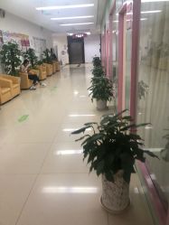 -五洲妇儿医院