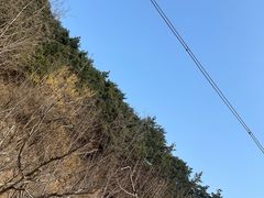 -金龙寺国家森林公园