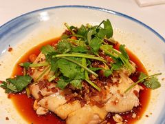 沙姜走地鸡-博多新记·粤菜(复兴店)