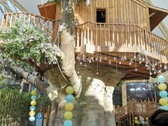 -杭州开元森泊度假乐园