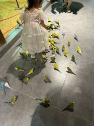 -酷嗒动物文化乐园(cutezoo西溪乐天城店)