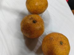 -小六农家乐(崇明西沙湿地店)