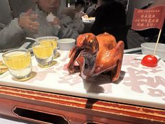 -大鸽饭(体育西路店)