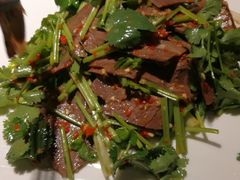 -龙抄手食府(浣花北路店)